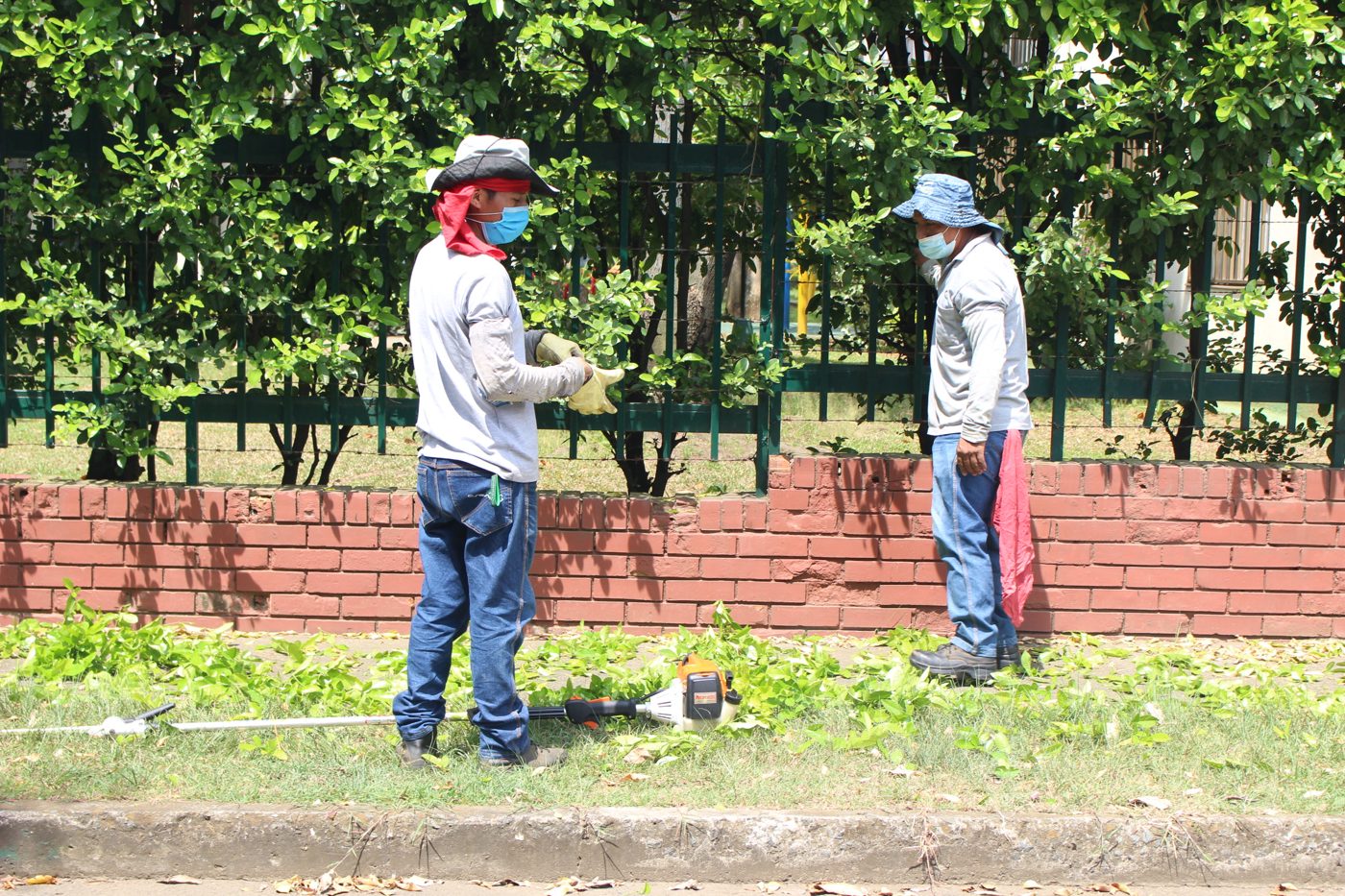 Equipo de Asescom en labores de jardinería